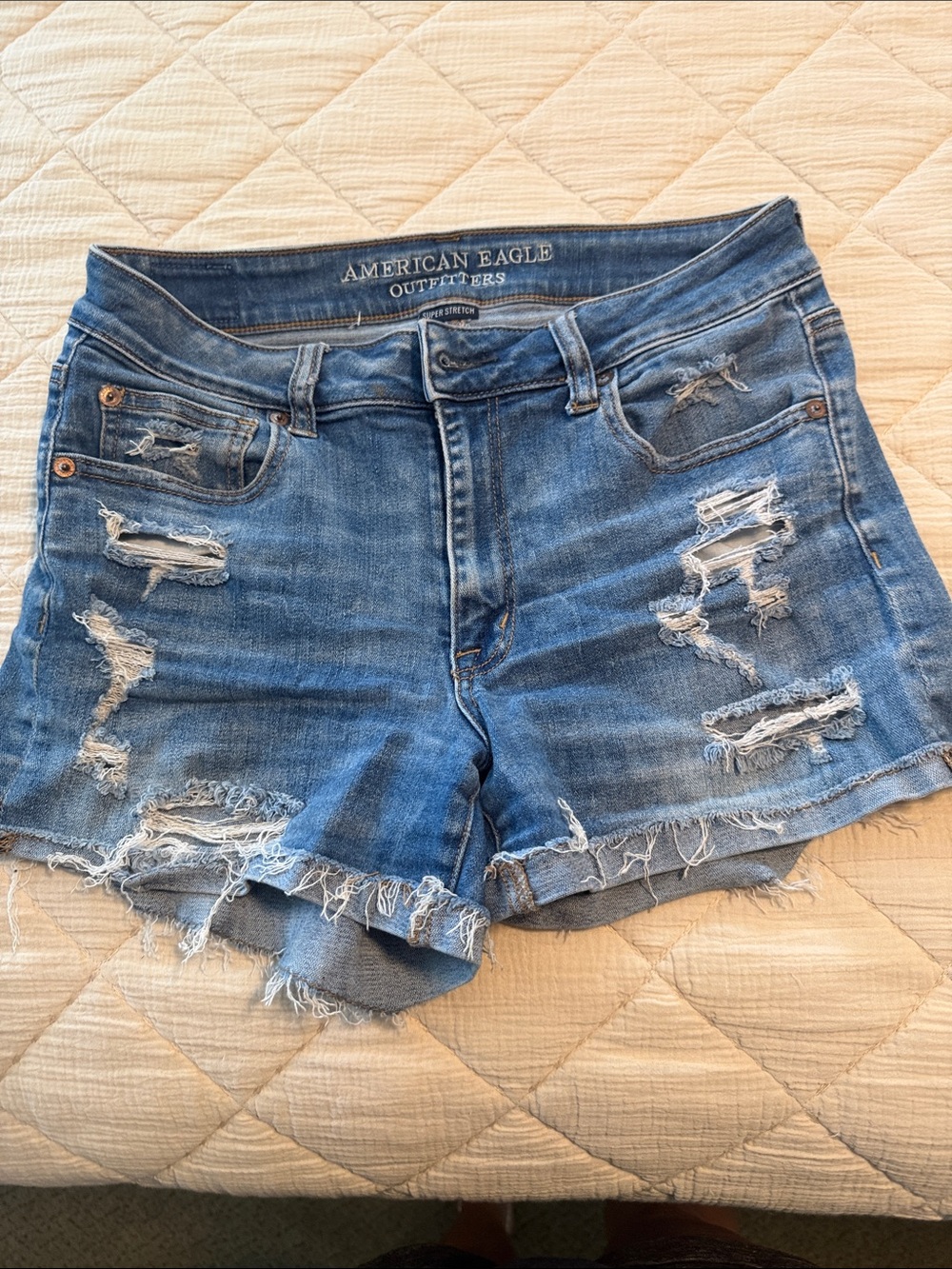 American Eagle Outfitters Distressed Light Blue Jean Shorts